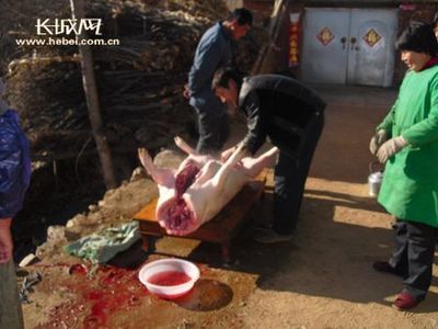 过年宰女人吃肉 山村过年宰杀女人