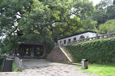 《八声甘州·见孤山林和靖墓梅林鹅鸭成群有感》——玉山诗草之景 八声甘州.寄参寥子