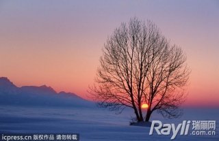 盼雪 盼雪 雪的特点