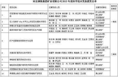 河北钢铁集团矿业有限公司公司工作报告 河北钢铁集团矿业公司