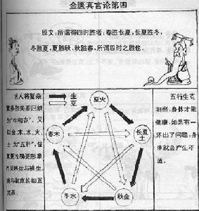 在中医上如何区分血热症和气虚血热? 气虚血热的症状是什么