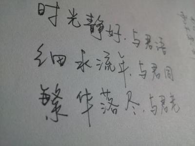 時光靜好，與君語；細水流年，與君同；繁華落盡，與君老 时光静好与君语书包网