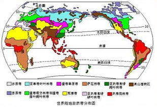 自然带与气候带 地中海气候的自然带