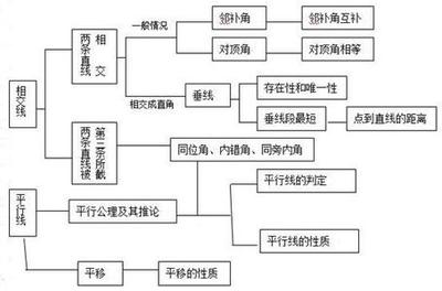 七年级下册历史教学计划 七年级体育教学计划