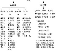 定语从句历年中考真题讲解（视频） 高中定语从句讲解视频