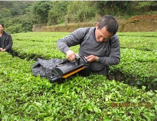 摘毛豆机的研发与农业机械化 我爱发明毛豆采摘机