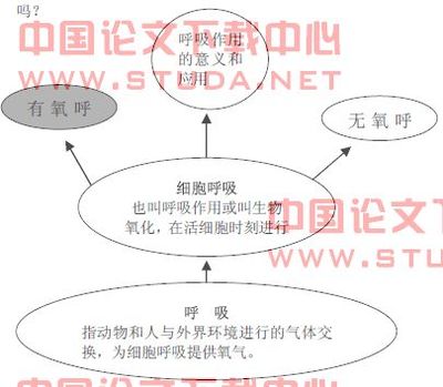 06年第二学期教师论文教学反思总编辑（06年7月） 学会反思议论文