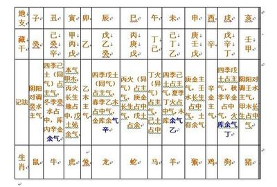 地支五行藏干 天干地支与五行