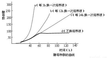 谷氨酸发酵 谷氨酸发酵菌体是什么