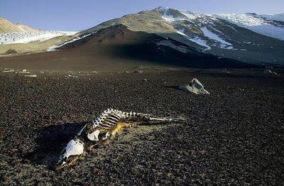 死亡谷之谜 昆仑山死亡谷