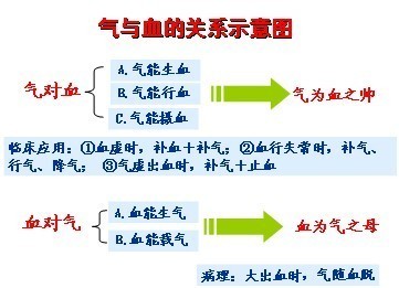 asp基础要点 中医基础理论复习要点