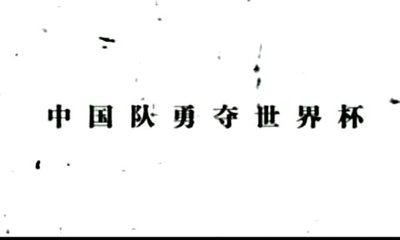 [开心一下，ZT]中国队勇夺世界杯冠军(高清版) 中国队勇夺世界杯2010