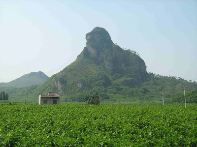 杨公风水真谛秘本 墓地风水100例图解