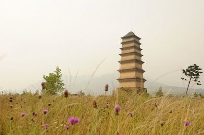 地宫探秘之西安仙游寺法王塔 仙游寺法王塔