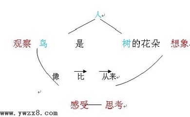 冀教六年级语文教案教学设计《鸟是树的花朵》 花朵教案