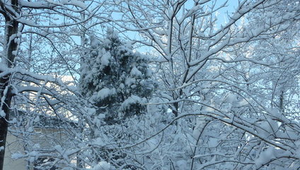 七律春分日喜雪——北京十年来最美的雪景（2013.3.20北京雪景图片 舞蹈喜雪创作背景