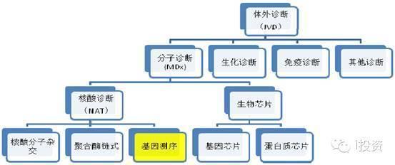 基因测序：被低估的生化巨人