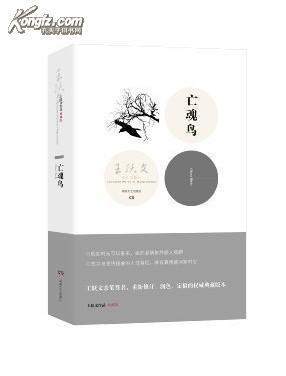 王跃文作品典藏版 亡魂鸟epub