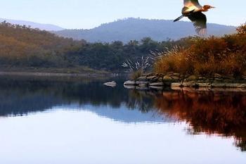 漳河（漳河三峡漂流卫星图） 宜昌三峡漂流