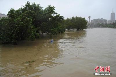 海口的台风暴雨 台风对海口的影响