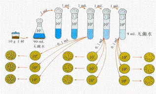 常用培养基的制备及注意事项 稀释倍数的公式