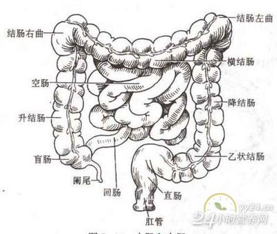 《吃不好，找院长》健康之路 刘玉村 李绍光院长健康讲座