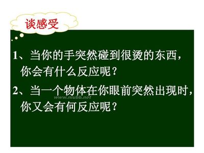 导学案《神经调节的基本方式》 神经调节基本方式