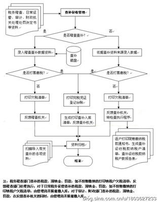 纳税人查补税款如何调整增值税纳税申报表 纳税申报表纳税人签章