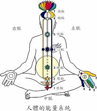 打开生命通道，重启生命能量 生命数字能量学