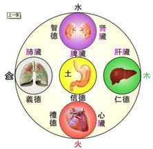 整理:罗大伦:关于中医治疗小儿感冒发烧咳嗽