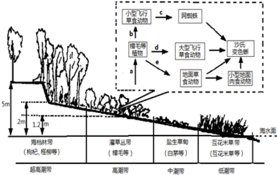 因变量和观测指标的区别 观测指标