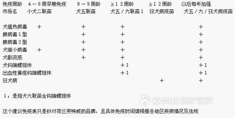 小狗狗打疫苗：荷兰英特威疫苗购买及使用指南