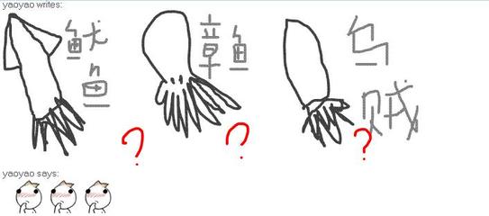 章鱼和鱿鱼的区别 乌贼章鱼和鱿鱼的区别