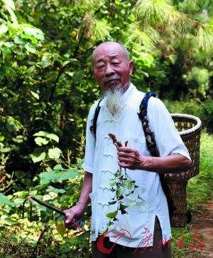 上山采药注意事项 夏季爬山注意事项