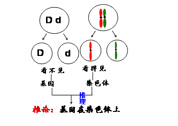 第九章 类比推理和假说 行测类比推理技巧