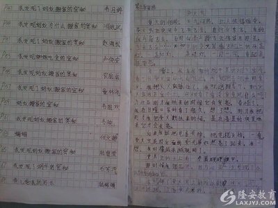 在泪水中得到启示的作文——《XX哭了》 泪水作文500字