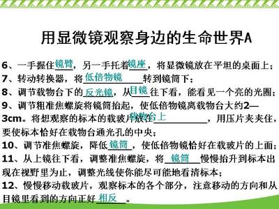 《用显微镜观察身边的生命世界（三）》课堂实录 用显微镜观察标本时