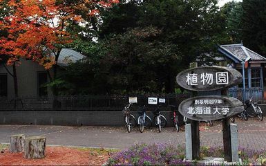 日本最美的大学---北海道大学 日本北海道大学怎么样