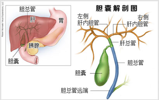 治疗“狐臭”偏方集 治疗胆囊炎偏方集锦