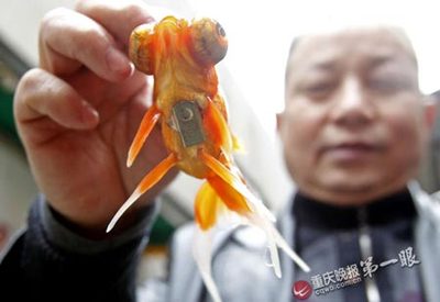 男人必学的30个魔术(附魔术解密） 印度魔术通天绳解密