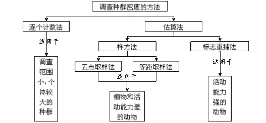 种群生态学 种群生态学 概念