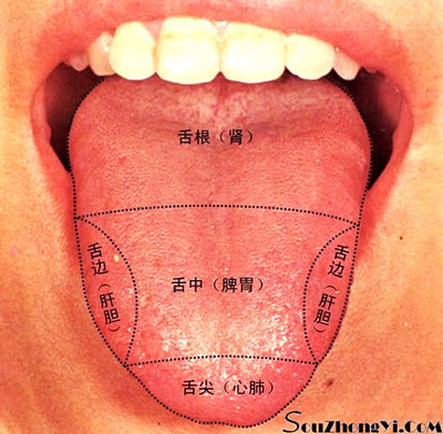 胃热的症状是什么？ 肺胃热盛的症状及调理