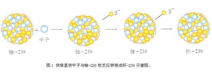 科普: 略谈核电的另一个令人关注的问题：乏燃料的处理途径 - Fan fan error