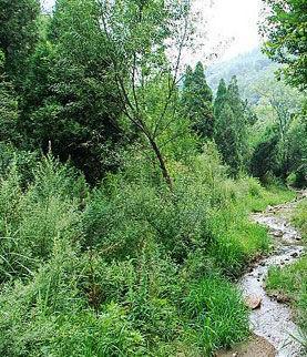 夏日避暑好去处西安黄巢堡森林公园 避暑旅游好去处