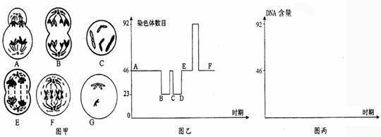 睢县回族高级中学2011～2012学年高三第三次考试 睢县回族高级中学吧