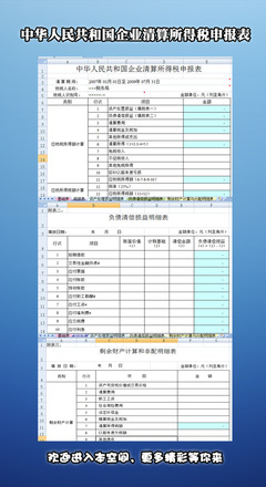 清算所得税难点释疑 清算所得税申报表