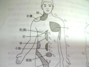 胸骨后疼痛 胸部右下方疼痛