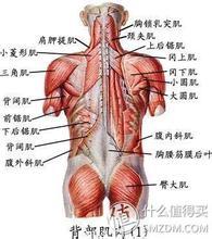 肌肉拉伤怎么办 肌肉拉伤怎么办恢复快