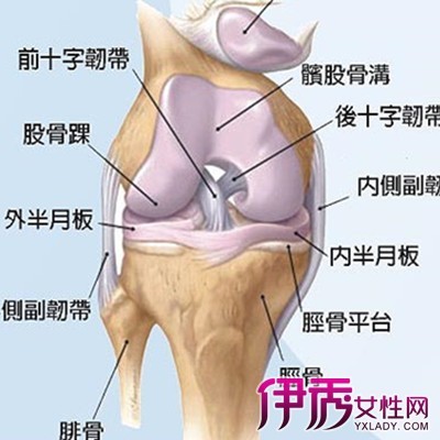 膝关节积水怎么治疗最好 膝盖积水