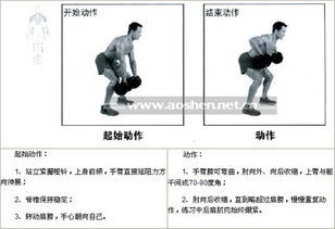 哑铃锻炼方法图解——收藏版 哑铃肌肉锻炼方法图解